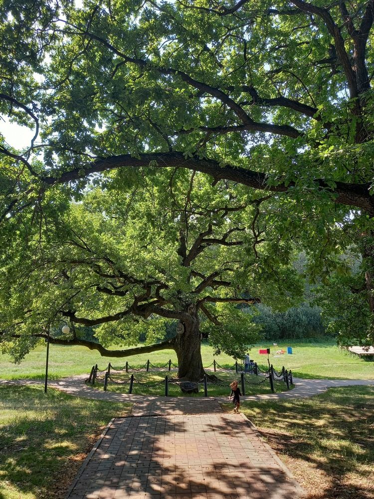 Photograph by Ольга Юрченко