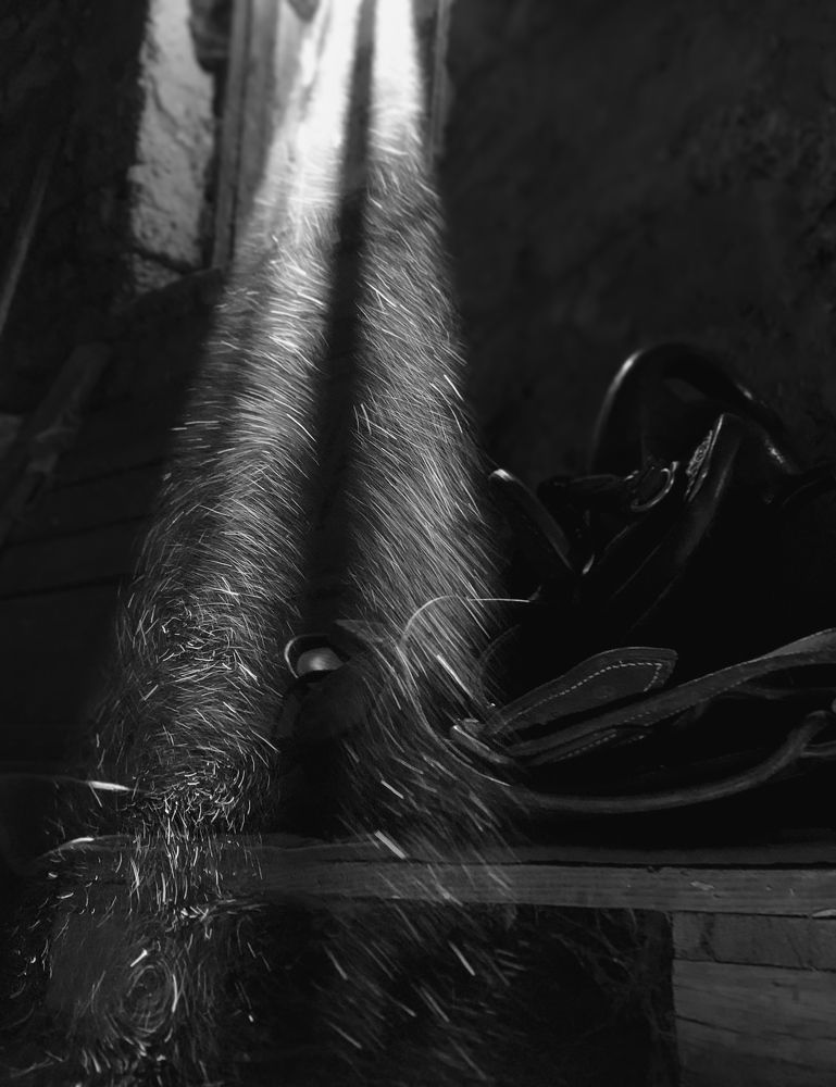 Photograph by Анна