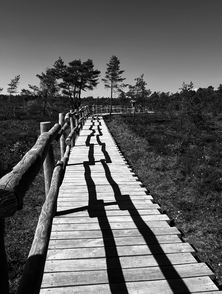 Photograph by Наталья Посашко