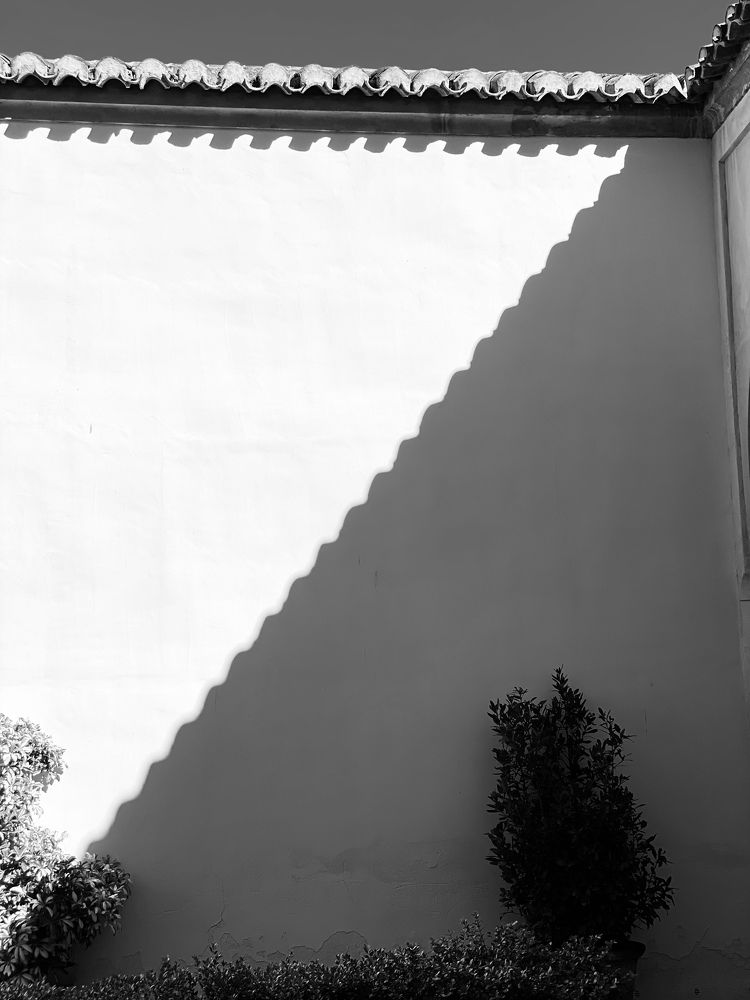 Photograph by Наталья Посашко