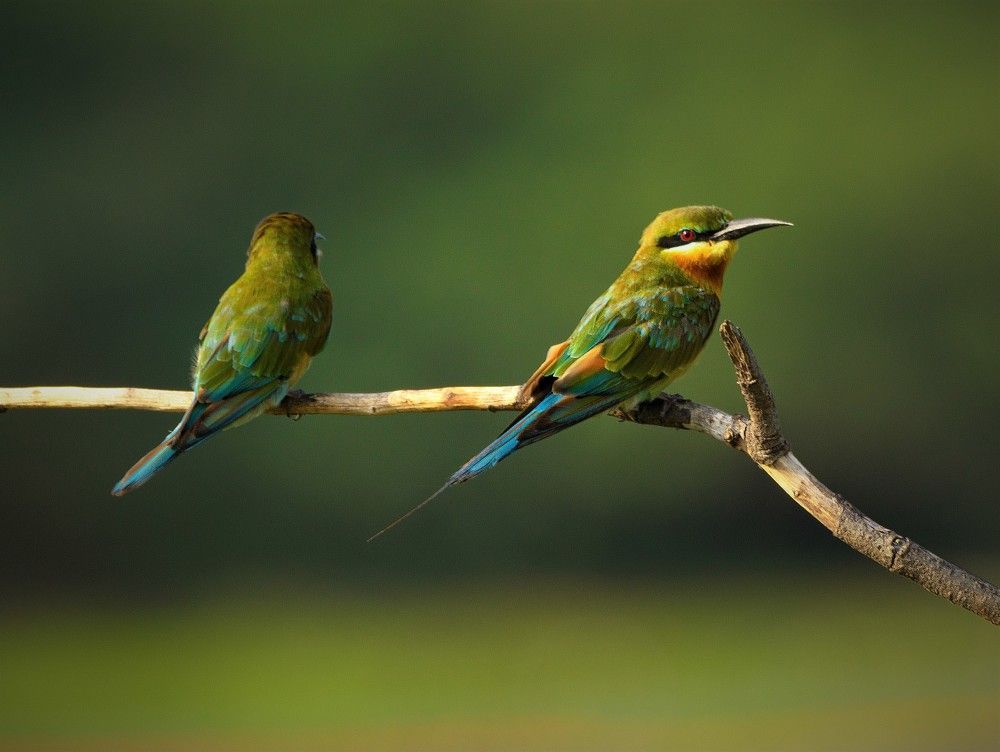 Photograph by G N RAJA