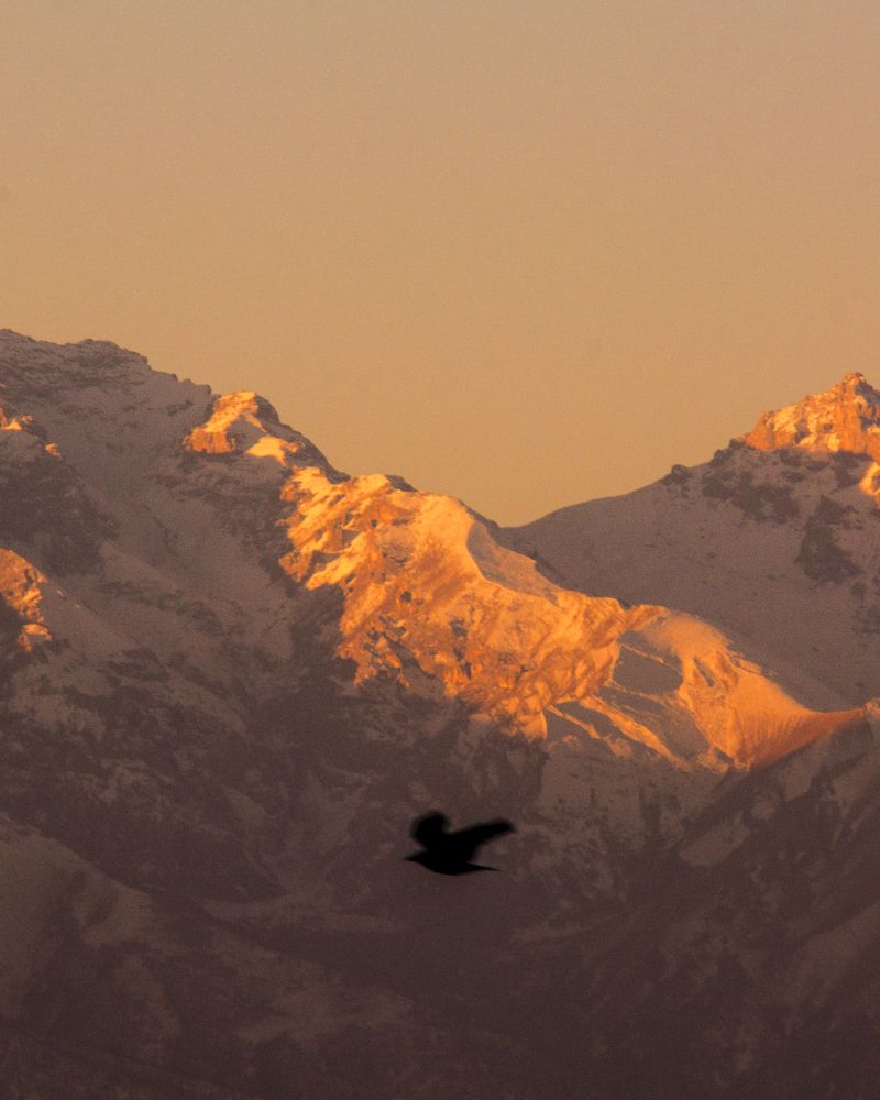 Photograph by Давид Дагуев