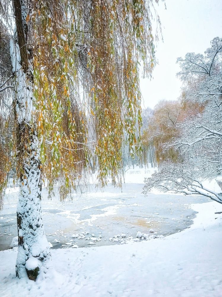 Photograph by Армен Егиян