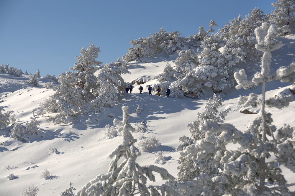 Photograph by Евгений Самулев