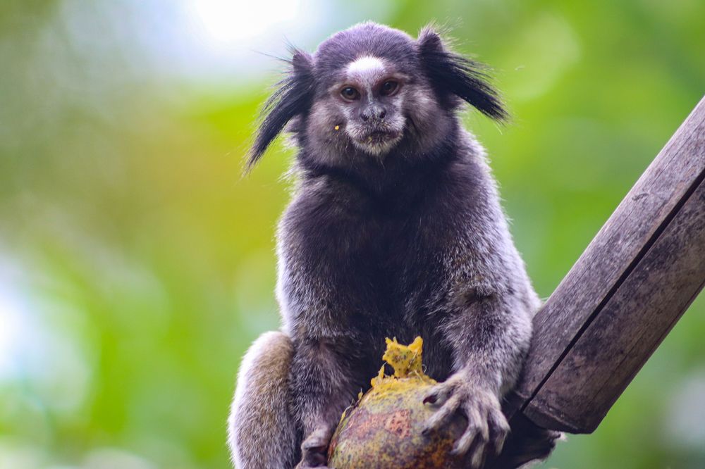 Photograph by Juliana