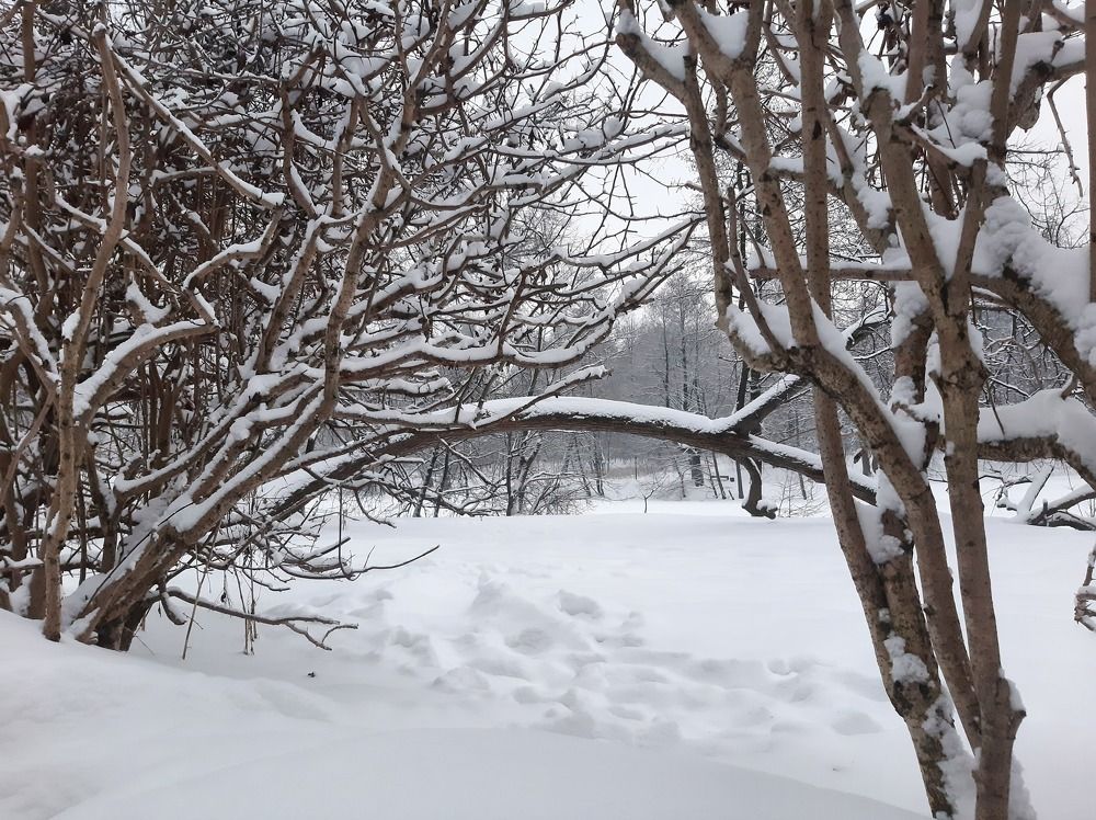 Фотография автора Дмитрий Нефёдов