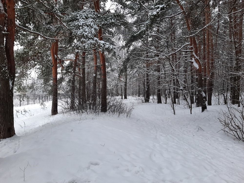 Фотография автора Дмитрий Нефёдов