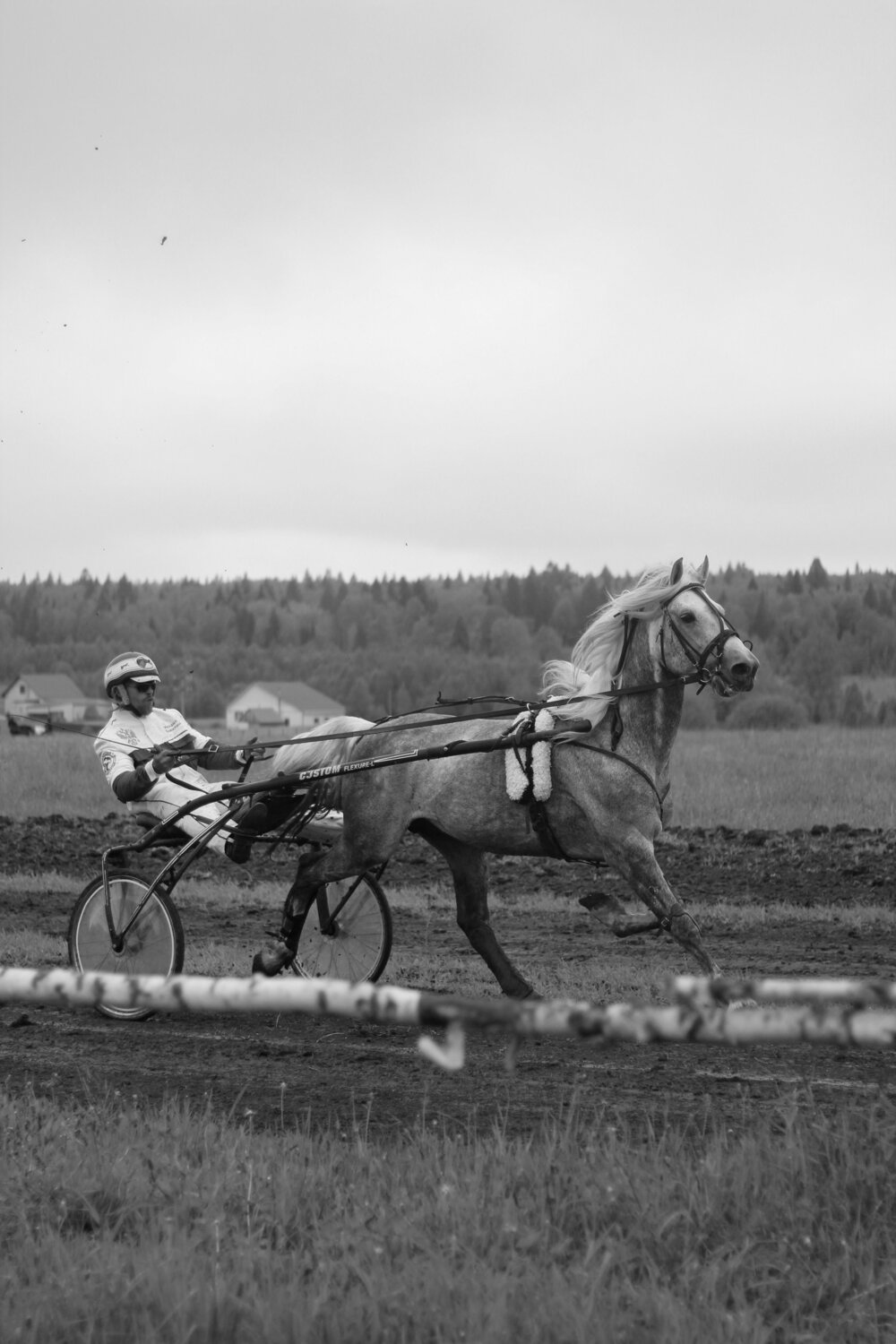 Photo #8568480