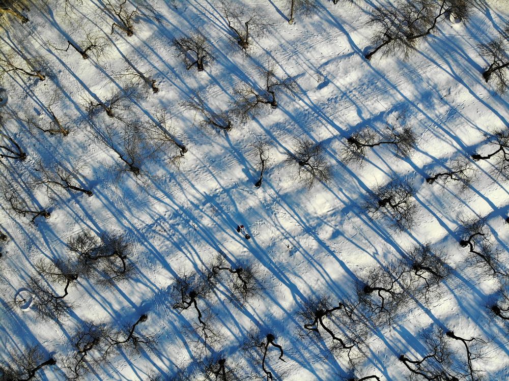 Photograph by Владислав Кравцов