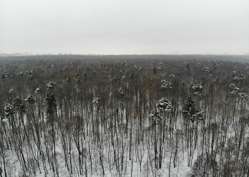 Photograph by Владислав Кравцов