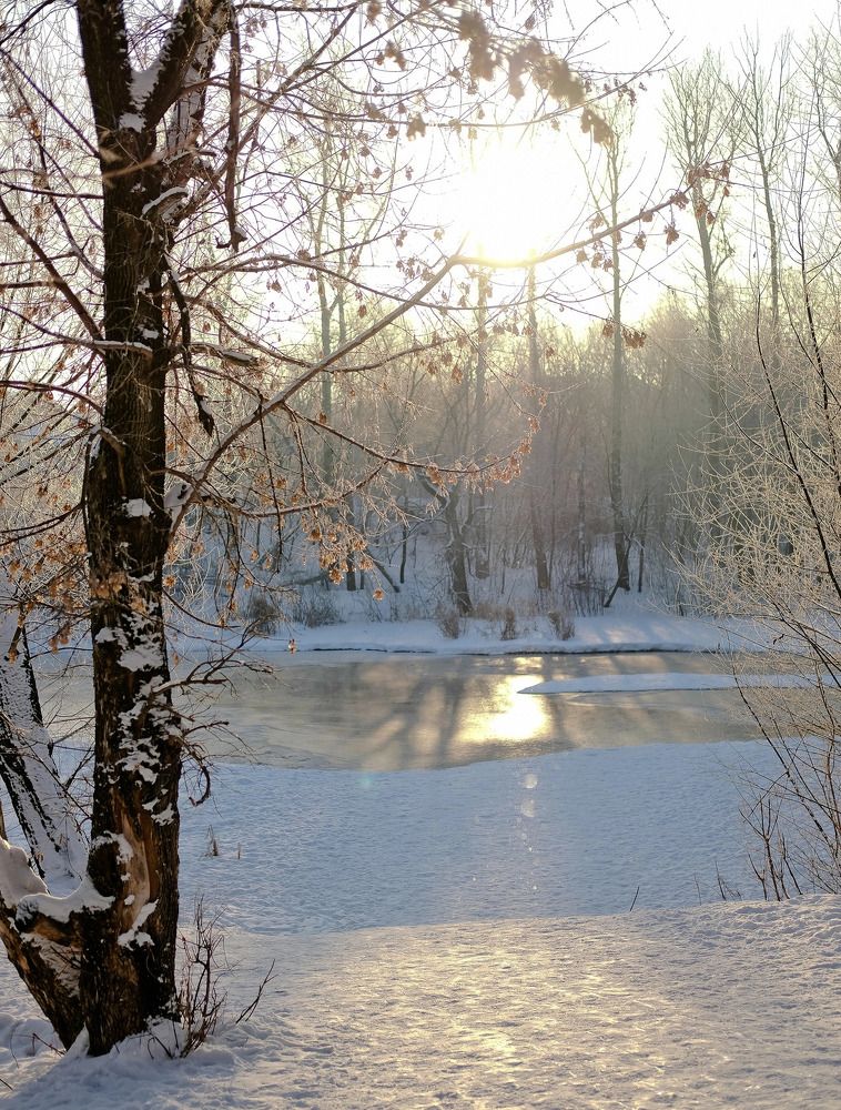 Photograph by Валентина Зуб