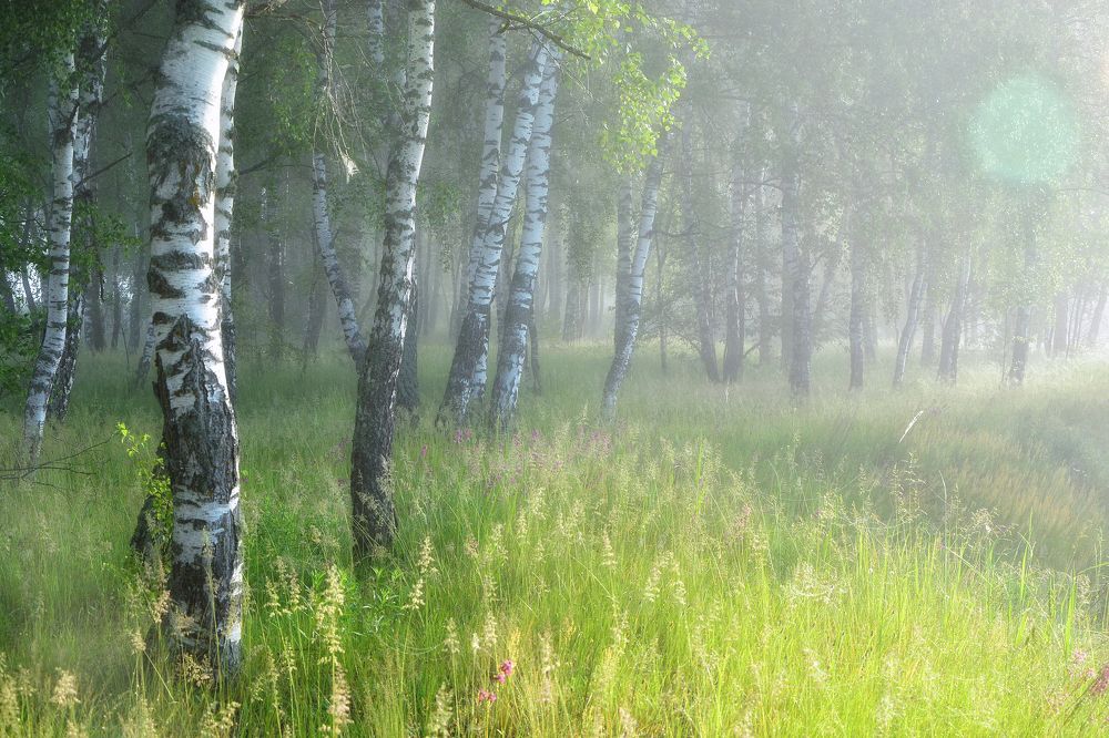 Photograph by Юлия Абрамова