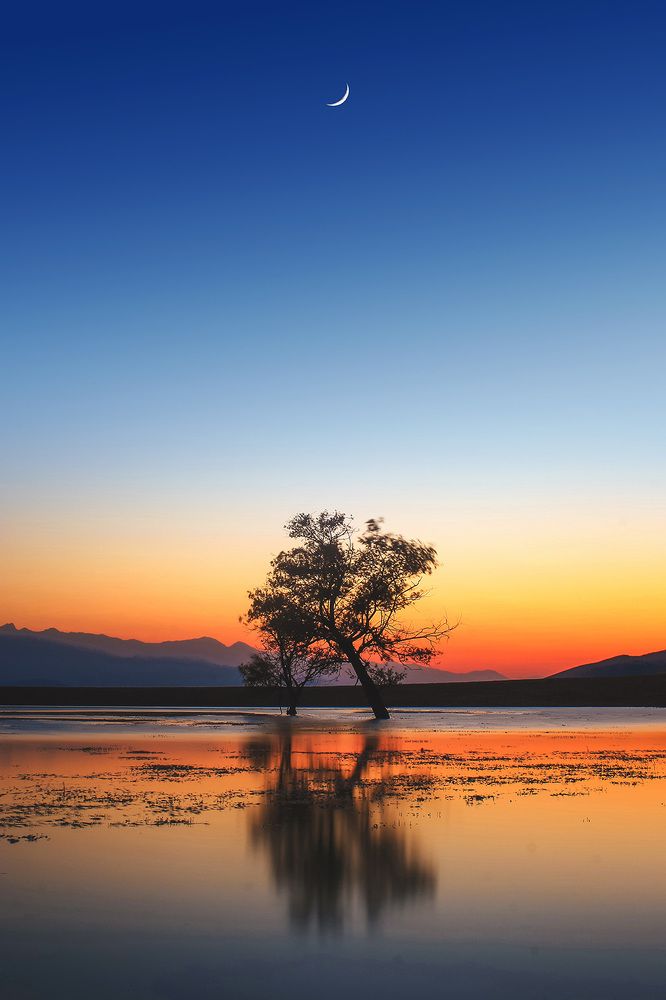 Photograph by Ali Memari