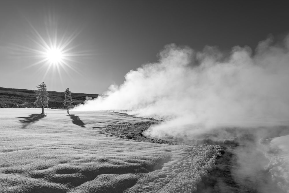 Photograph by Tom Ingram