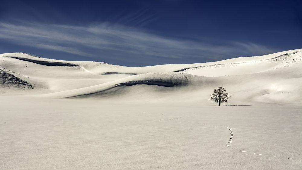 Photograph by Tom Ingram