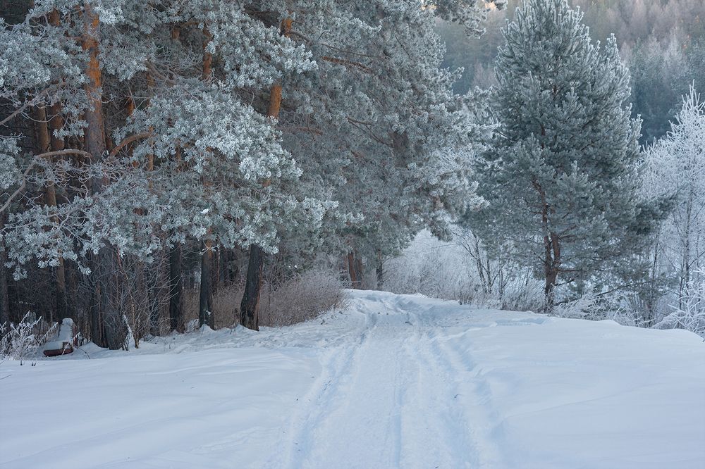 Photograph by Sergey L