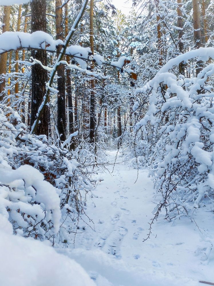 Photograph by Anastasia Malukova