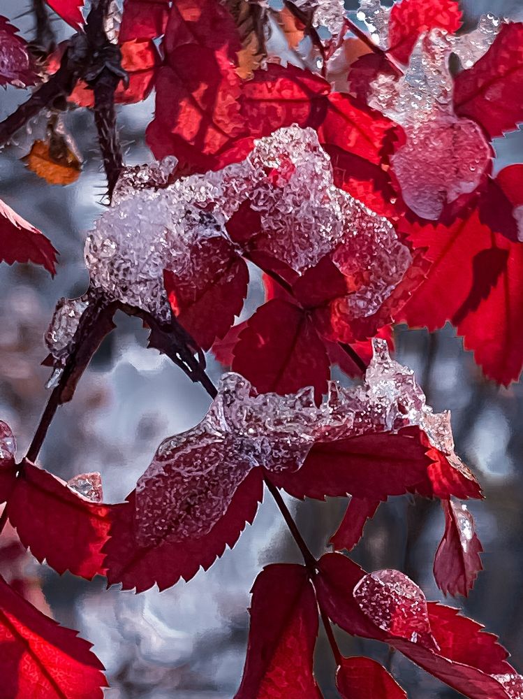 Photograph by Вера Артеменко