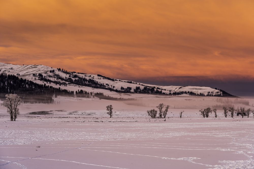 Photograph by Tom Ingram