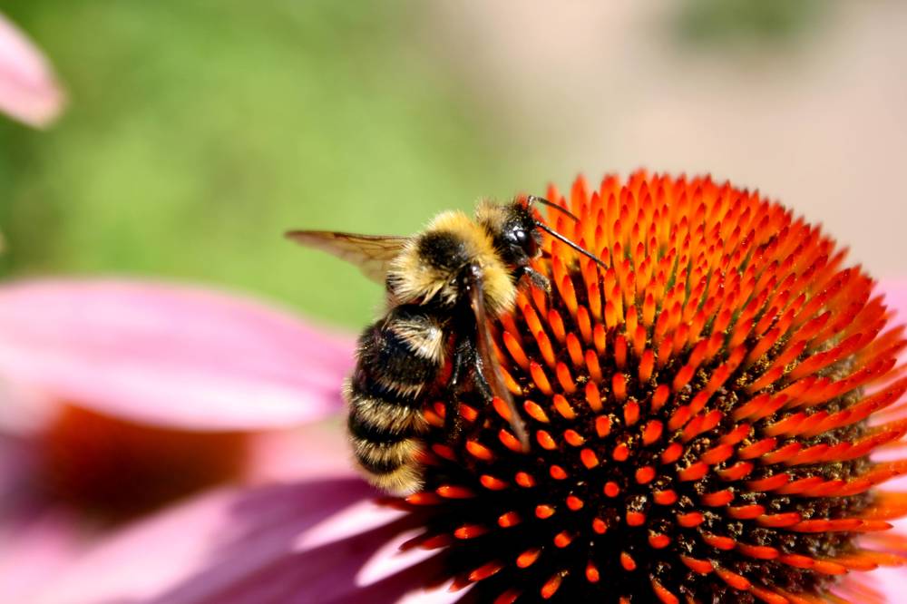 Photograph by Ирина Вассерлауф