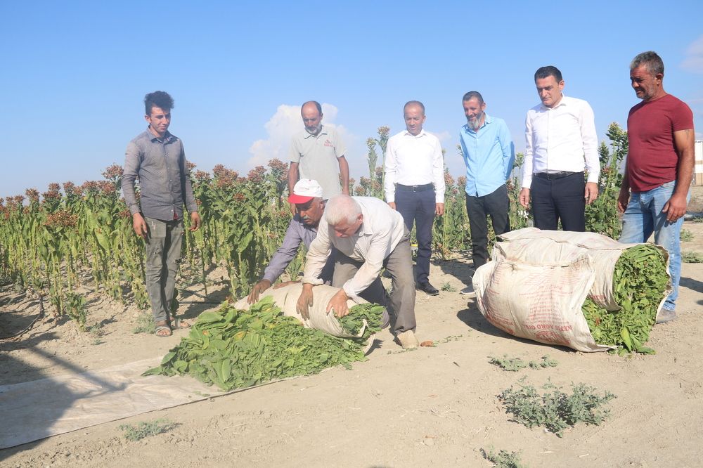 Photograph by Niyazi Nizam