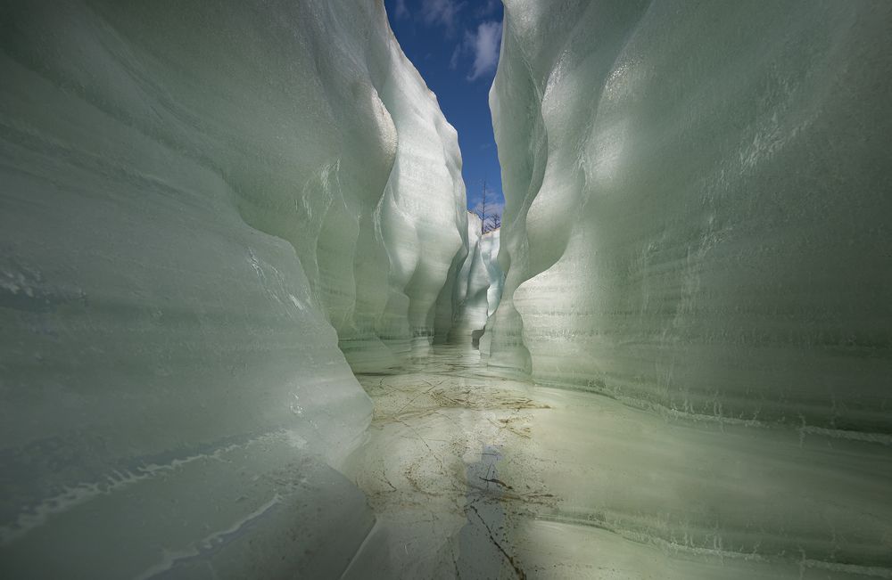 Photograph by Елена Вторушина