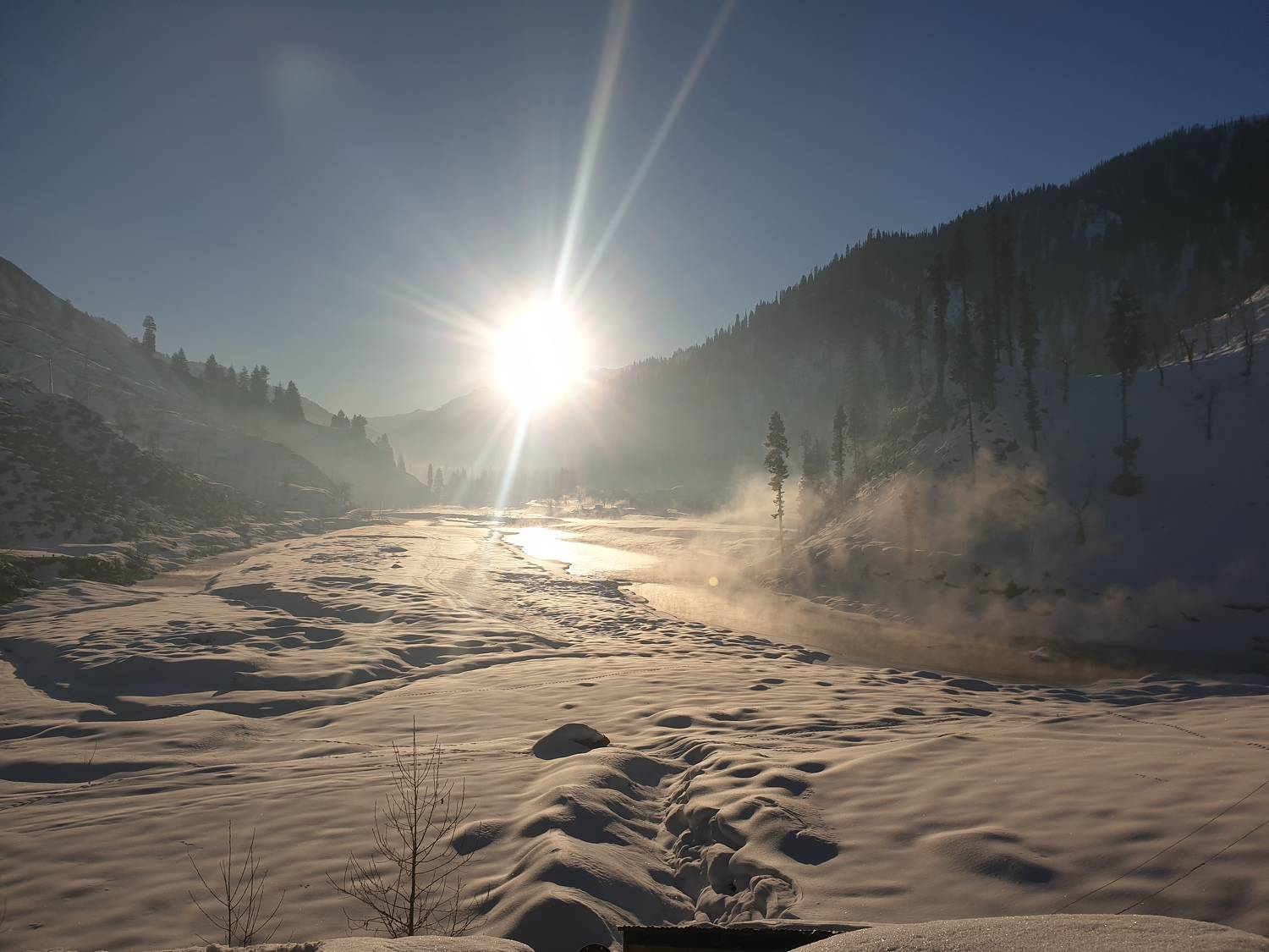 Photo #8568848