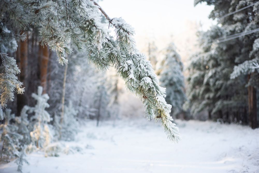 Photograph by Светлана Антипова