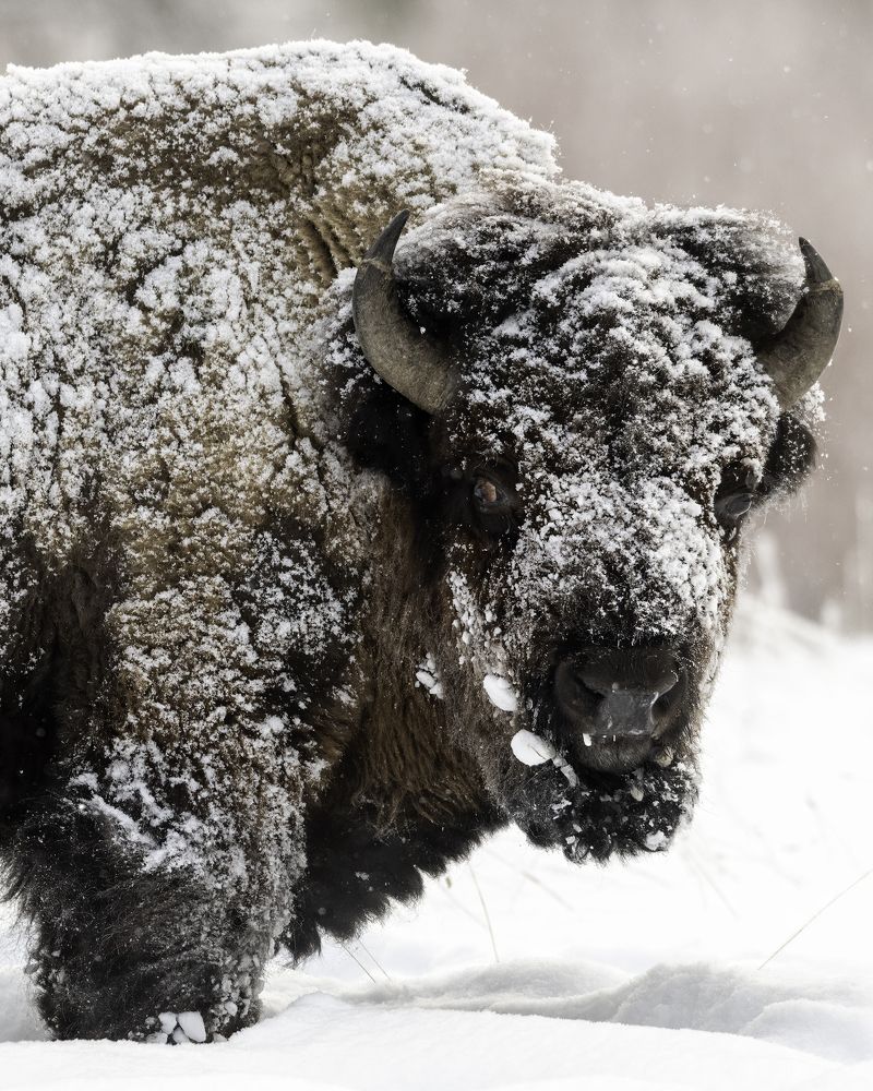 Photograph by Tom Ingram