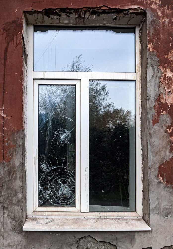 Фотография автора Ксения Шляйхер