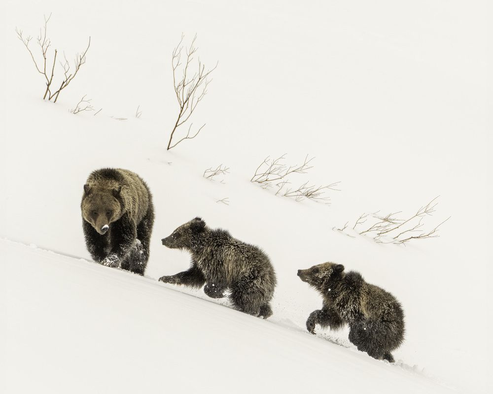 Photograph by Tom Ingram