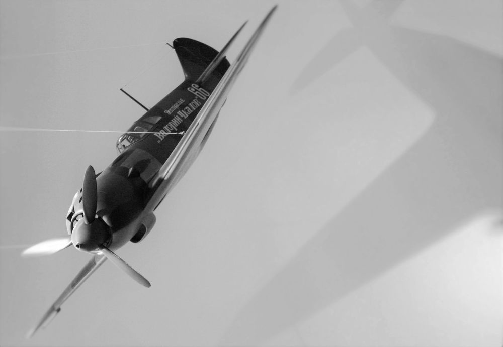 Полет нормальный