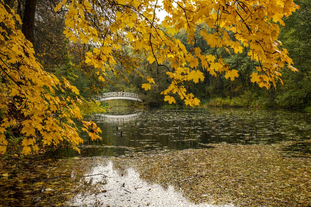 Осенний парк