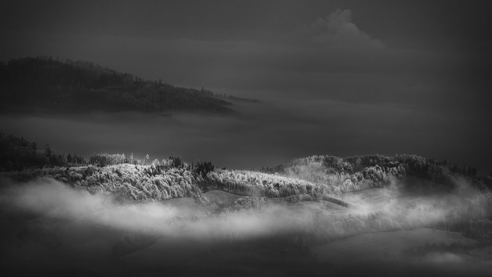 Photograph by Pavlasek Tom