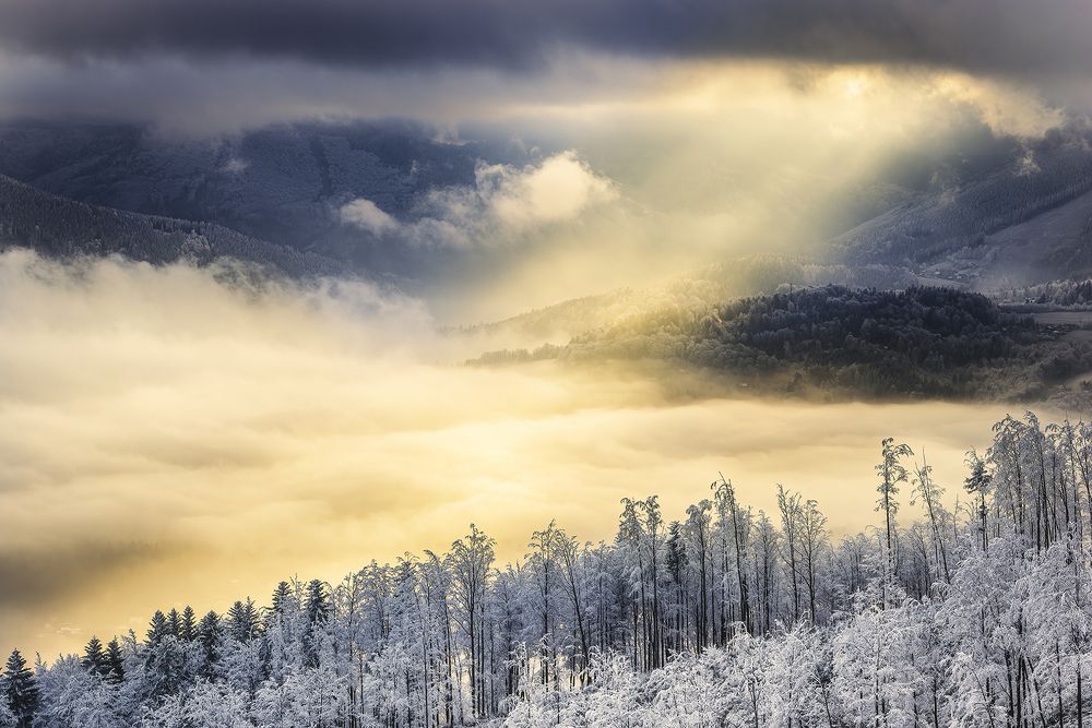 Photograph by Pavlasek Tom