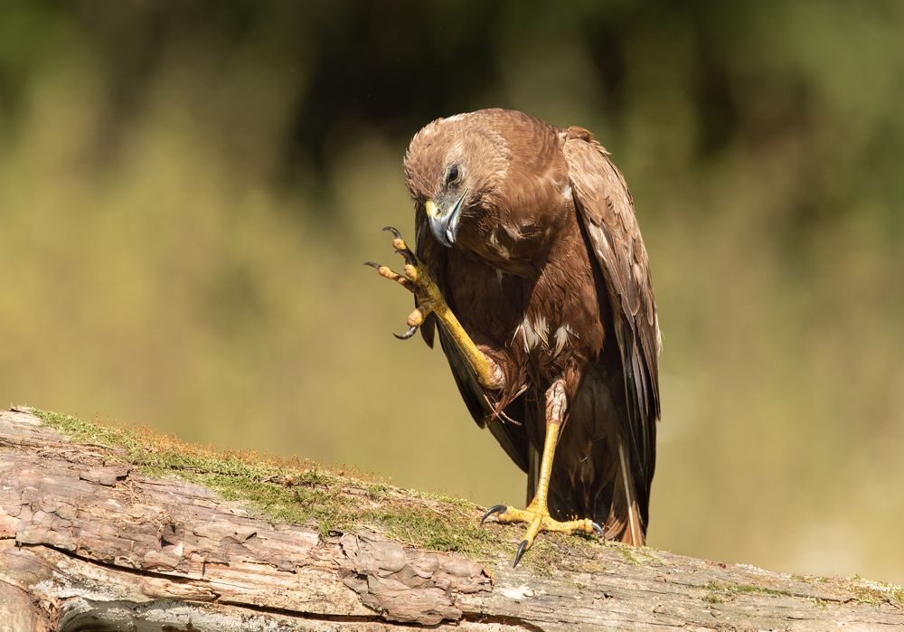 Photograph by Vladimir Pakalevich
