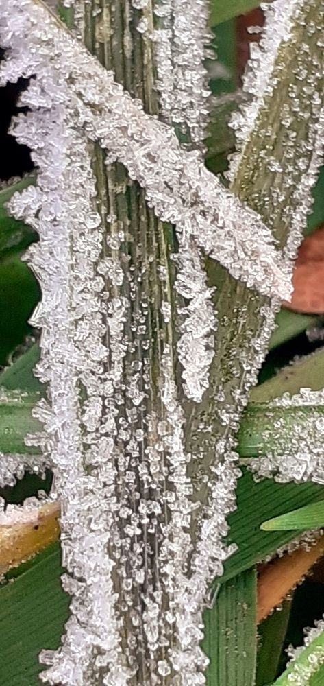 Photograph by Евгения Ульянова