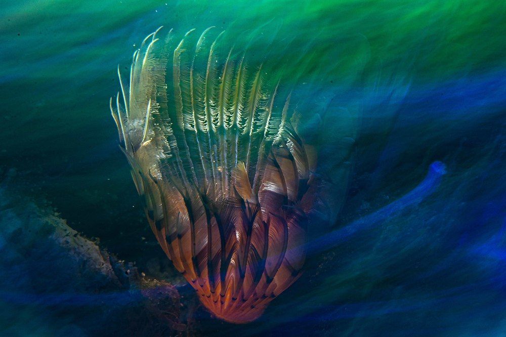 Photograph by Deniz muzaffer Gokmen