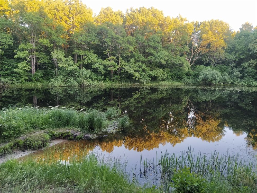 Photograph by Юрий Яценик