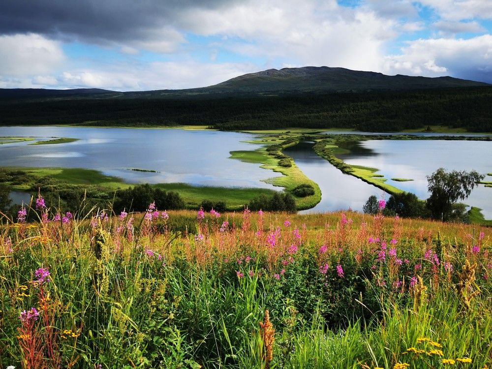 Photograph by Svetlana Jegorova