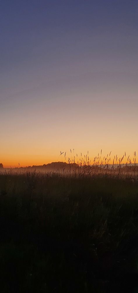 Photograph by Ирина Ульяницкая