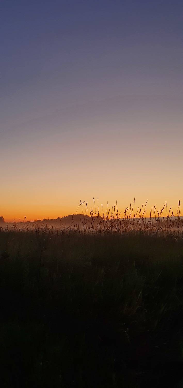 Photo #8569250