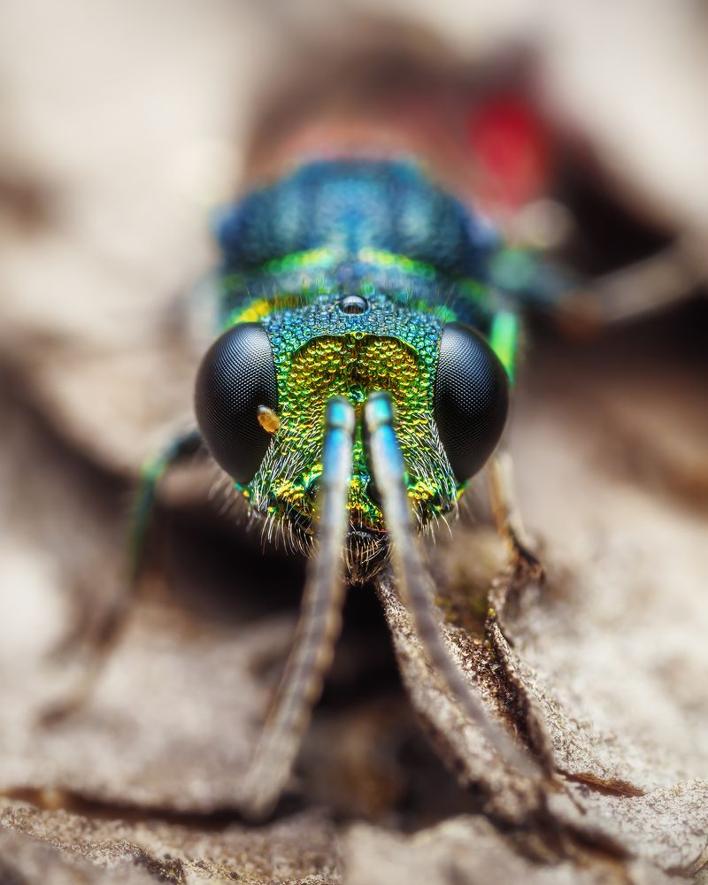 Photograph by Роман Фадеев