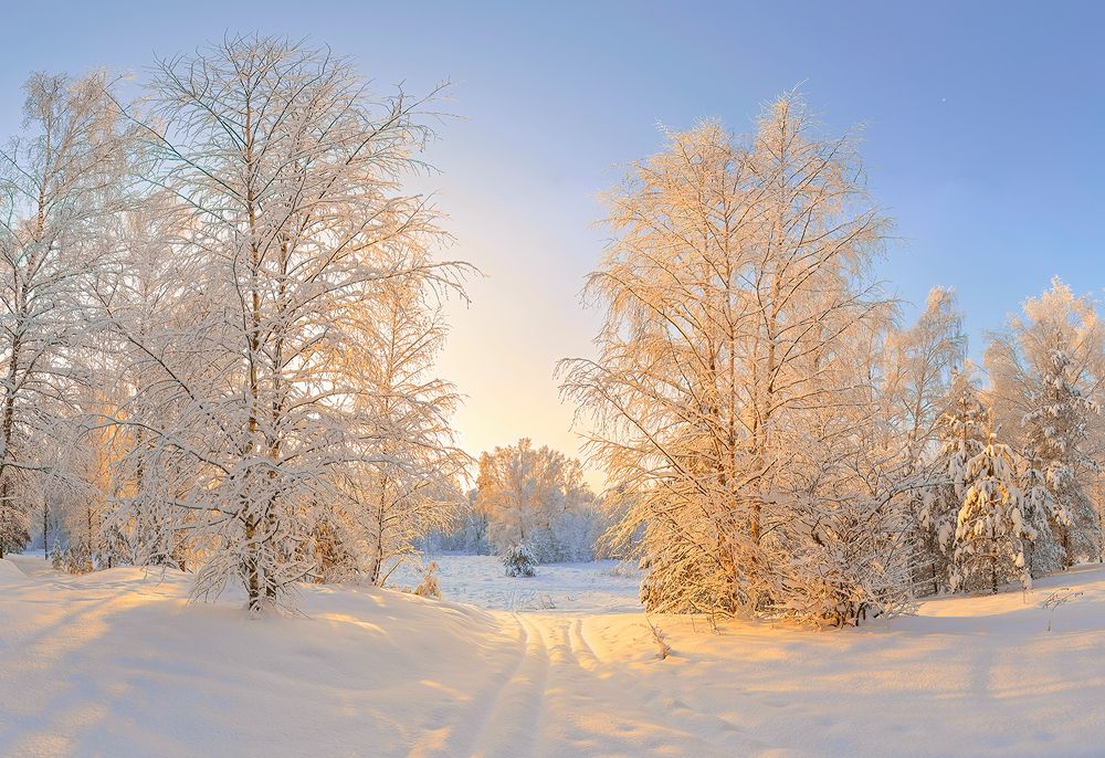 Солнечная лыжня