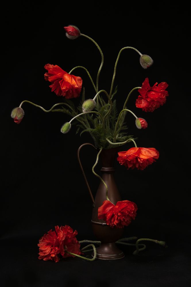 Фотография автора Marina Krasovska