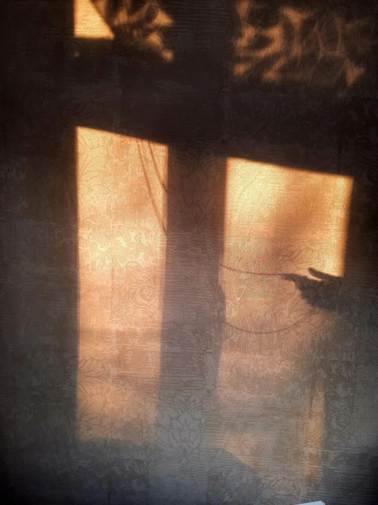 Photograph by Крапивина Татьяна