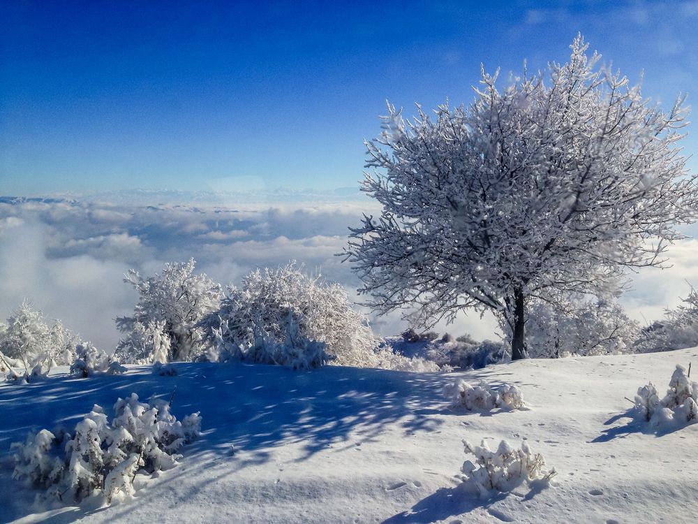 Photograph by Антон Сарвилин