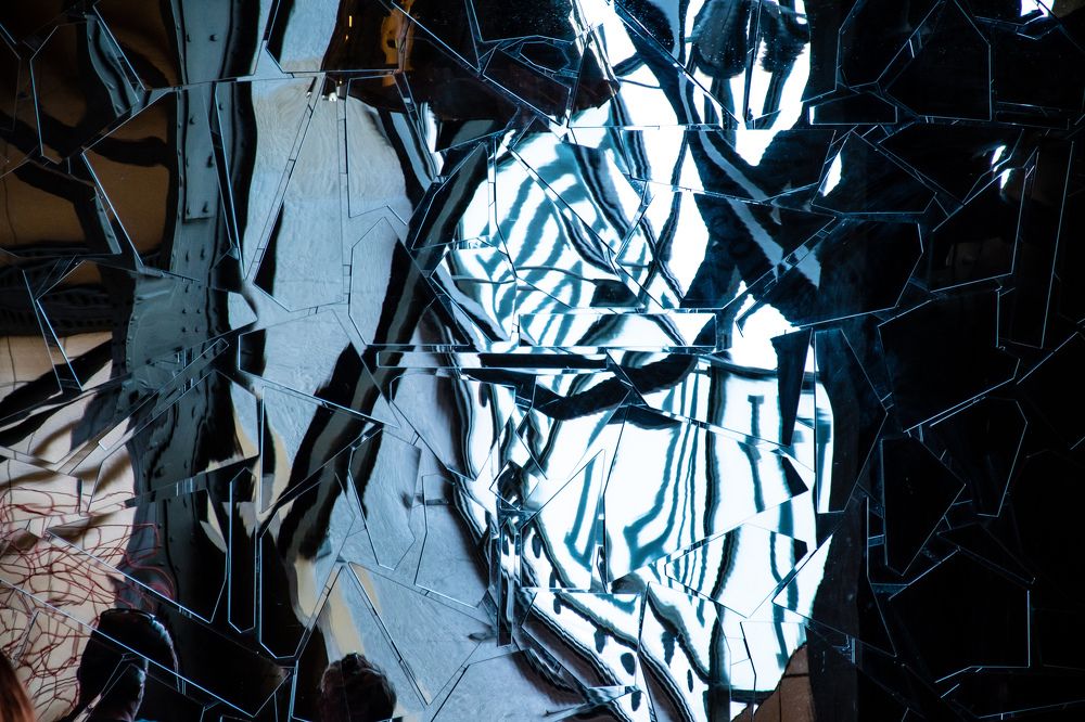 Фотография автора Alessandra Calosso