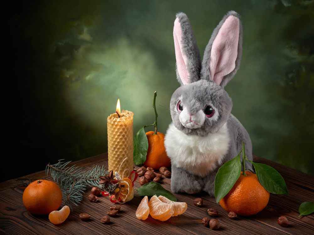 Хмурый заяц