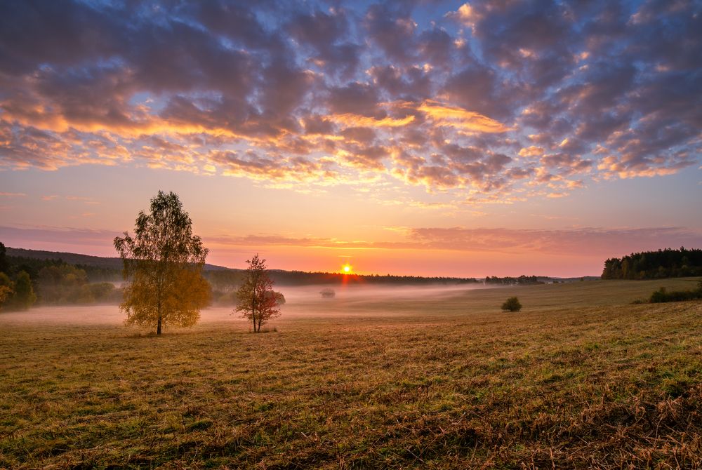 Photograph by Mirosław Pruchnicki